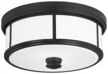 Minka 4365-66A - Harbour Point - 2 Light Ceiling Light