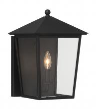 Minka 72131-66 - Noble Hill- 1 Light Outdoor Wall Mount