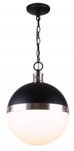 PARK Clearouts IPL708B01BKN - Pendant