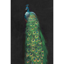 Art by PARK 52GCFC0559-STKP - Peacock