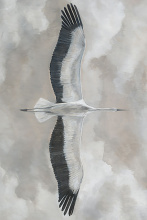 Art by PARK 52GCJL0882-LN - Flying Elegance