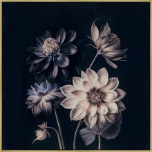 Art by PARK 618139-4040 - Dahlia Elegance I