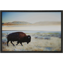 Art by PARK WM13065 - Bison