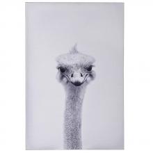 Art by PARK WI33368 - Ostrich Portrait