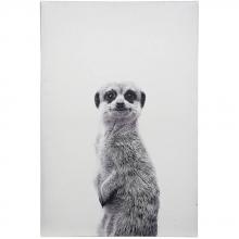 Art by PARK WI33370 - Meerkat Portrait