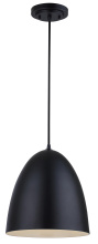 True Light Co. IPL2234B01BK - Pendant