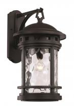 Trans Globe 40372 BK - 1 Light Wall Lantern - LARGE 
