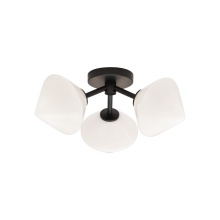 Matteo X81743BKOP - Novo Black Ceiling Mount