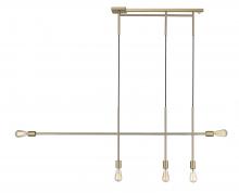 Lighting by PARK TRP8256BNG - LINEAR PENDANT 56"