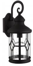 Canarm IOL209BK - Atlanta, 1 Lt Outdoor Downlight, Seeded Glass, 100W Type A, 6 1/2" x 16" x 7 3/4"