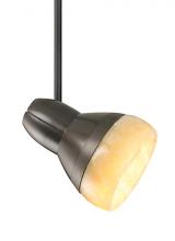 Visual Comfort 700FJOM06Z - Mini Om Head