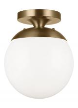 Visual Comfort 7518EN3-848 - Leo - Hanging Globe One Light Wall / Ceiling Semi-Flush Mount