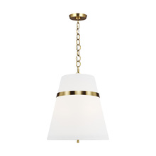 Visual Comfort AP1173BBS - Cordtlandt Large Pendant