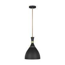 Visual Comfort EP1151MBK - Joan Large Pendant