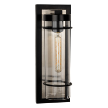 Eglo 206292A - 1 LT Outdoor Wall Light w/ Black Finish, Brushed Nickel Backplate & Clear Glass Shade